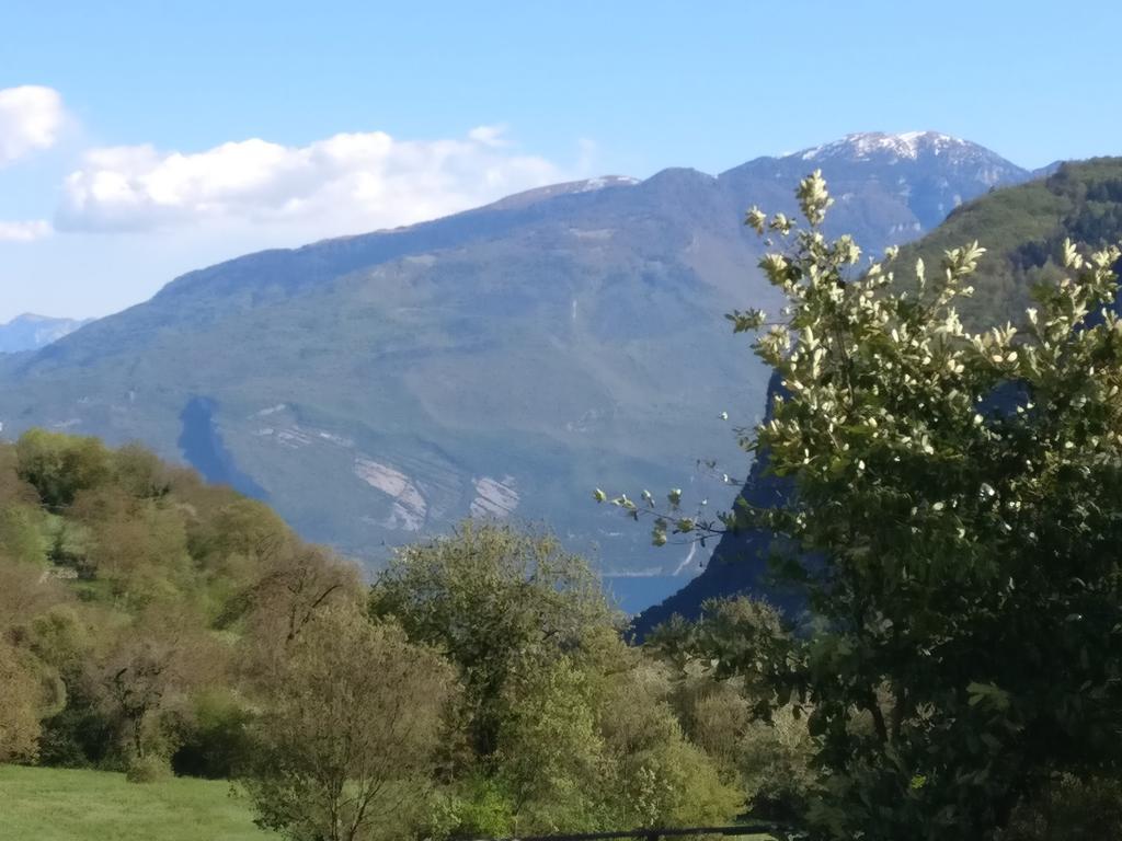 ホテル Garni Al Laghet テンノ エクステリア 写真